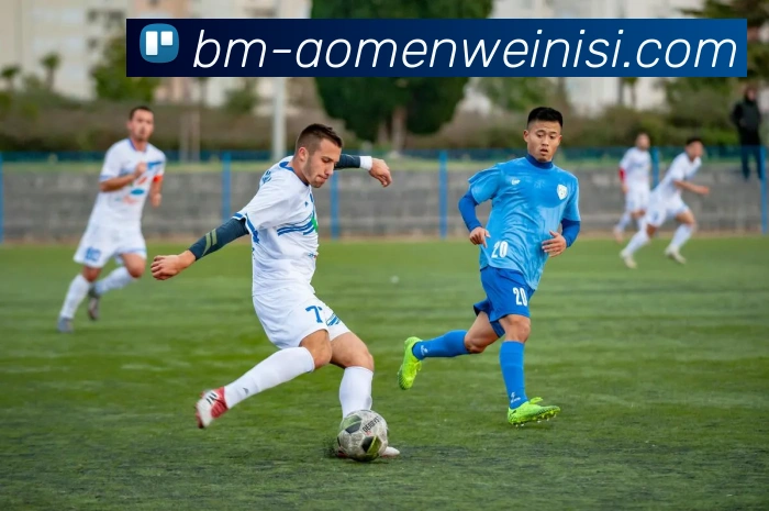 多媒体互动体验